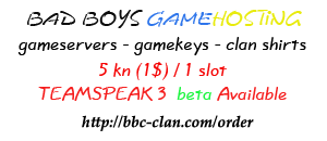 Bad Boys GameHosting 1