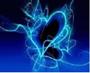 «BBC»Blueheart